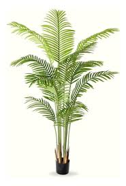 Planta Palmera Areca 160cm Grass