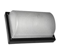 Tortuga NIZA F-1650 Fuinyter